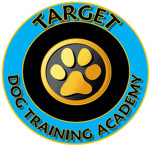Dog Training Academy