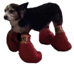brotato army [ONLY brotato ]