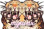 myswnx