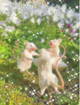 THE pretty RATS!!!