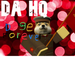 Universe Of Doge