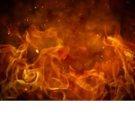 Force of Fire
