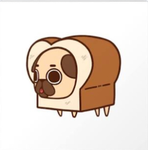 Cookies and pugs