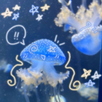 Squirtles Aquatic Escape