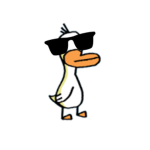Cool ducky Squad