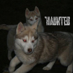 Group Thumbnail