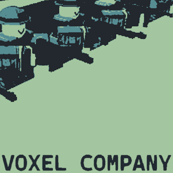 VOXEL COMPANY 