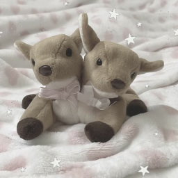 ｡ﾟ•┈ ♡ ┈• ｡ﾟ