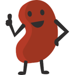The Beans Of Robloxia