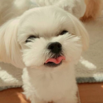 Lovely by lalaluluhahahihi