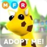Dream_Pets
