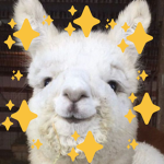 Alpaca Wacka Studios