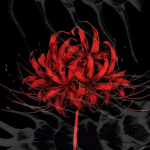 Redspiderlily