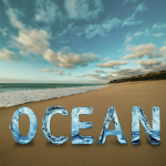 The Ocean Pirates. [TOP]