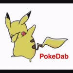 POKEMON POOL