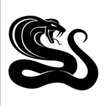 BC(Black Cobras)
