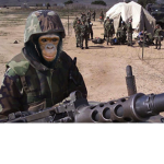 WAR MONKE GANG