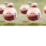 Personell