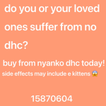 nyanko dhc