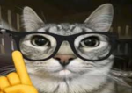 miau‘