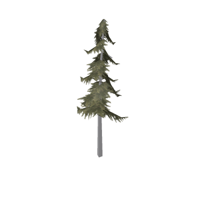 Pine Tree