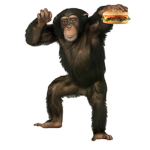 Biggest Burger Workshop