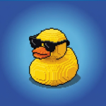 Rubber Duckie Inc.