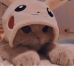 Noe.rblx_fy uwu