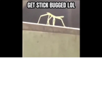Lolhoesmad