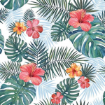 - coral cabana -