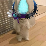 robux for cloudy :DD
