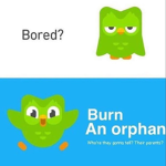 Duolingo Birds United