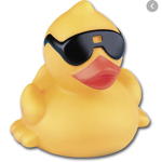 The Ducky Squad 2.0