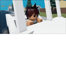 TIMMEH RAID