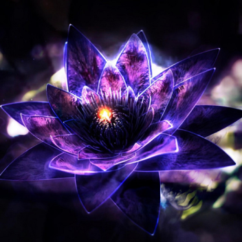 BLACK LOTUS [ BETA FECHADO]