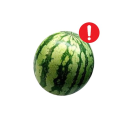 watermelon!