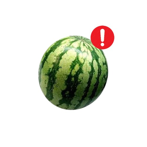 watermelon!