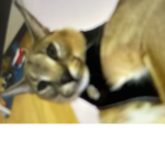 Bigman frien