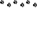 Animal freedom
