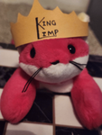 The Ferrets Kingdom