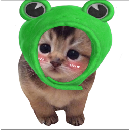 SURVIVE THE KILLER CAT!