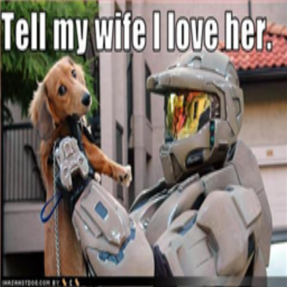 funny chief Roblox decal
