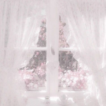 -ilene’s closet-