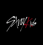 LES FANS DE STRAYKIDS