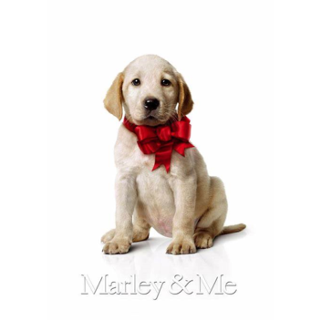 Memorial of Marley the Dog.