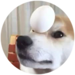 doggo egg (FAN special)
