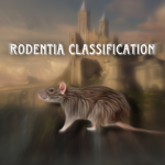Rodentia classification