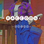 • raccoon vibes •
