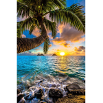 Sunset ####### Army