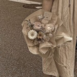 ✧･ﾟ: *✧･ﾟ:*